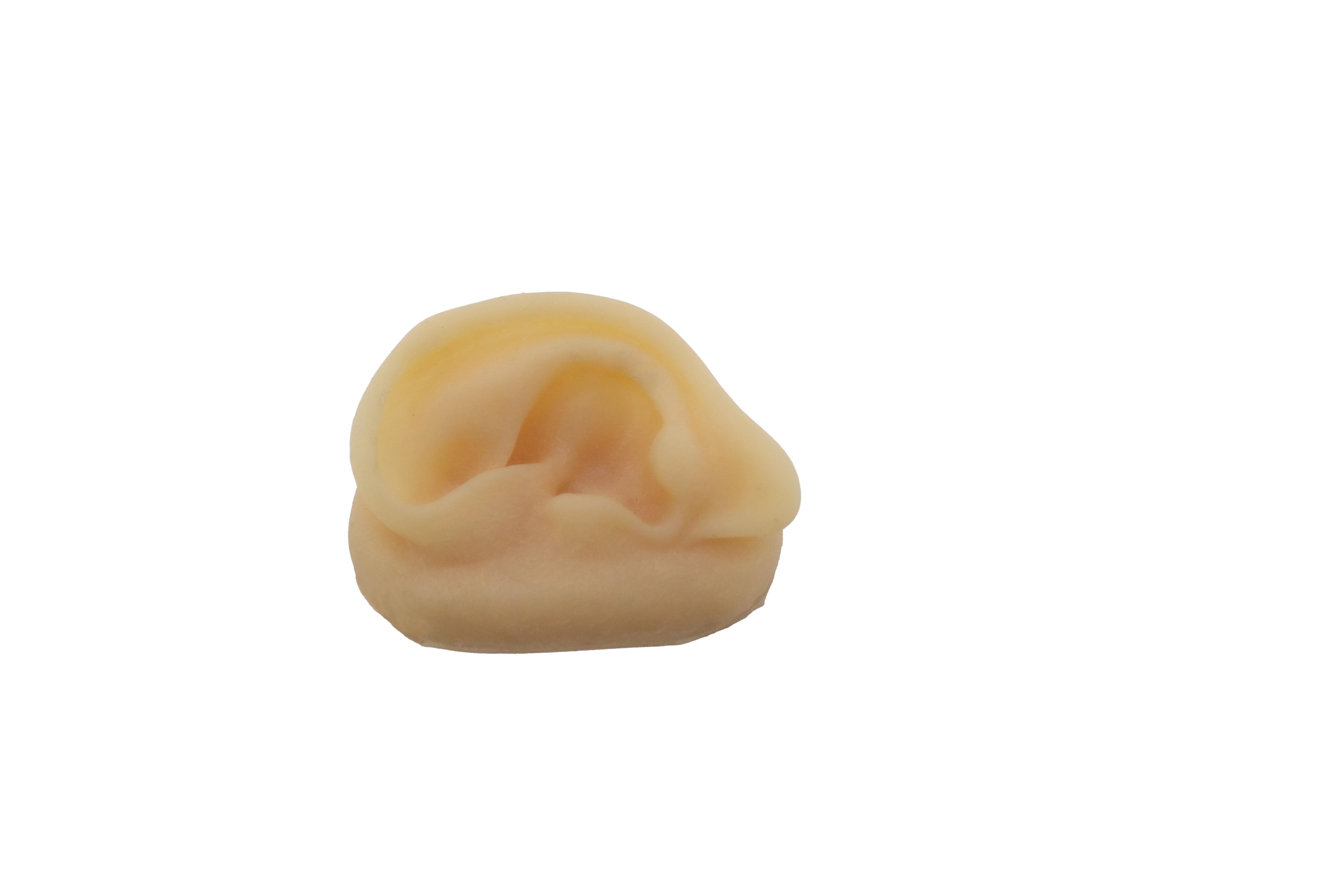 Gerçekçi Boyut Silikon Kulak 9 Cm Akupunktur Uygulama Eğitim Modeli Gerçekçi Boyut Silikon Kulak 9 Cm Akupunktur Uygulama Eğitim Modeli