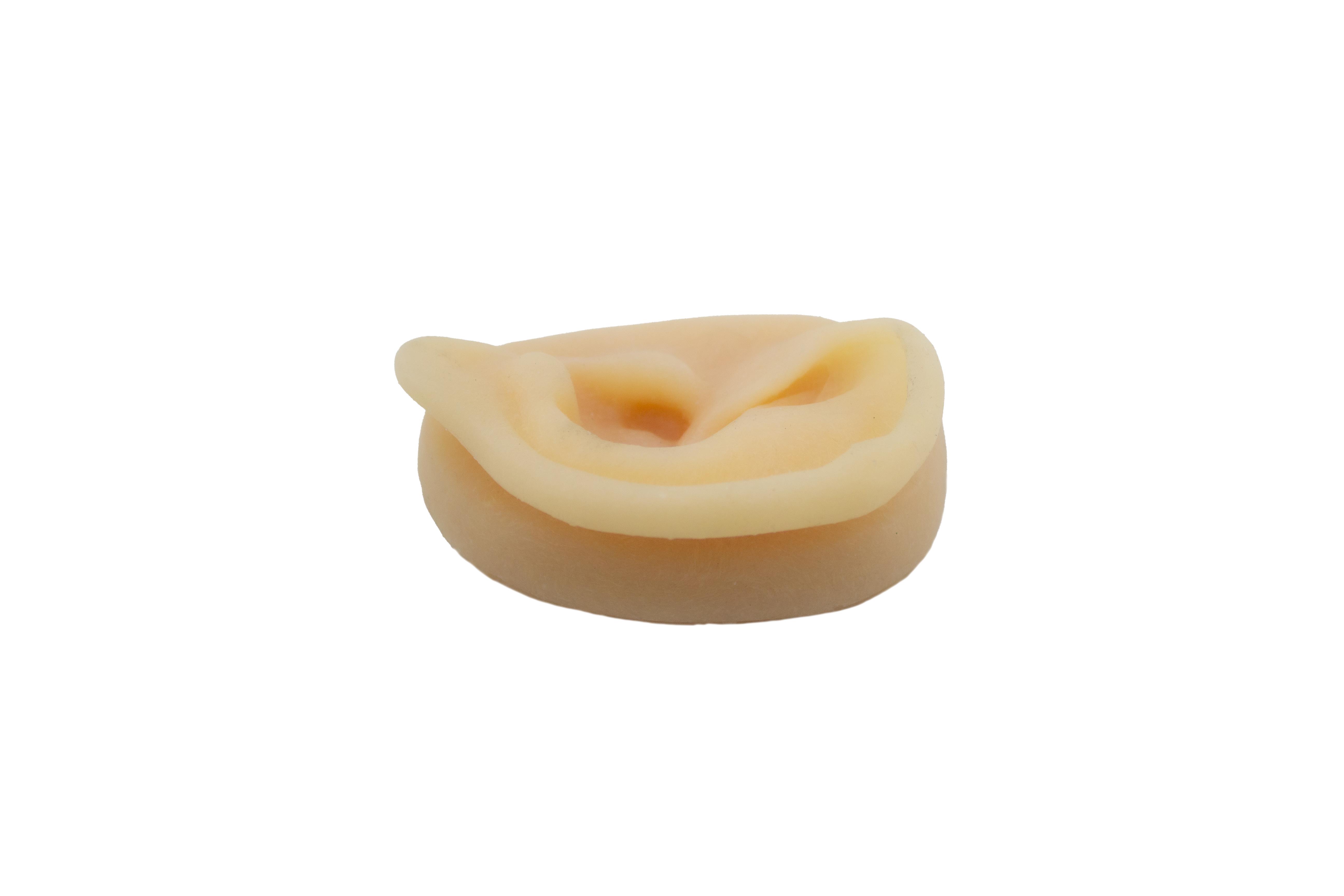 Gerçekçi Boyut Silikon Kulak 9 Cm Akupunktur Uygulama Eğitim Modeli Gerçekçi Boyut Silikon Kulak 9 Cm Akupunktur Uygulama Eğitim Modeli