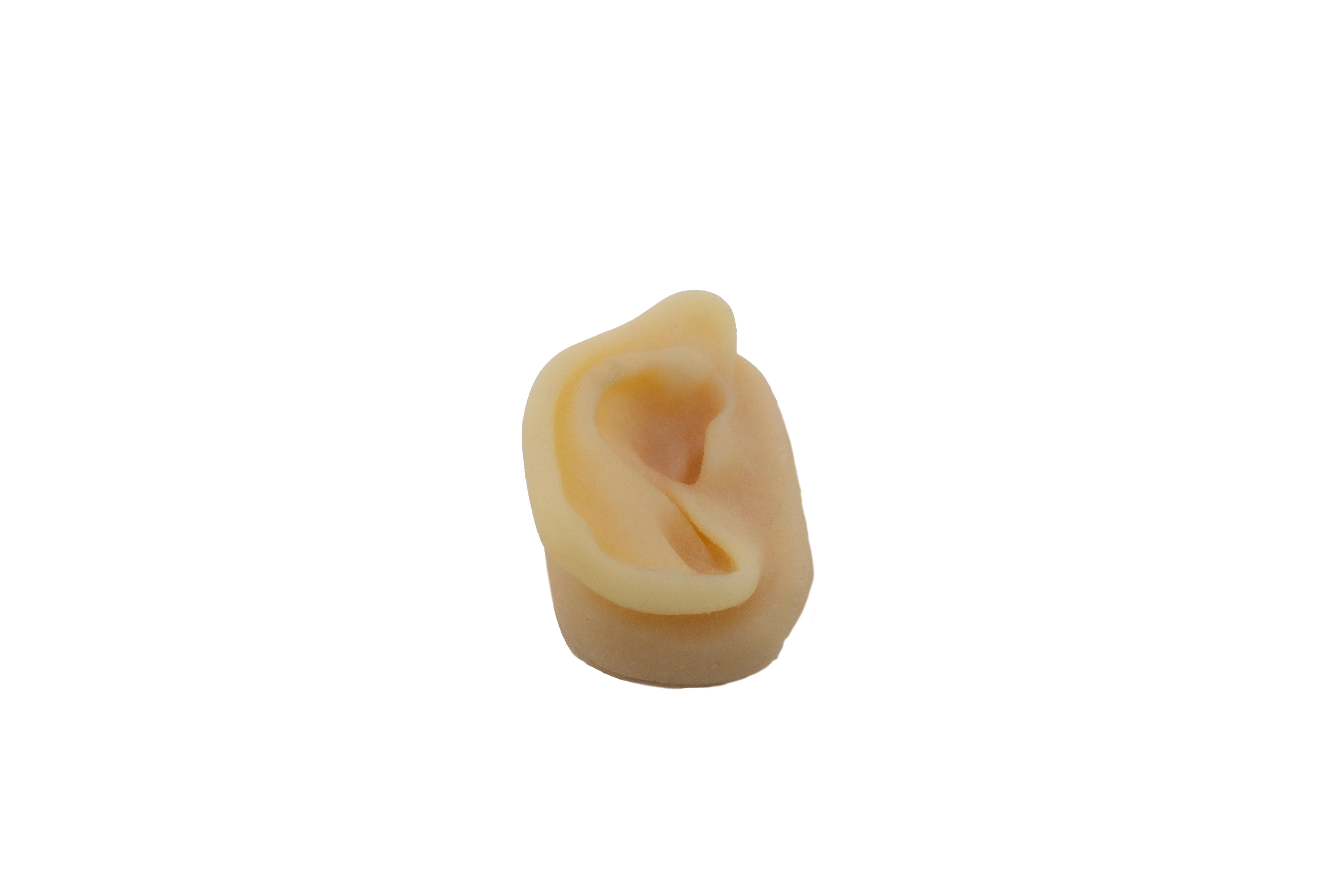 Gerçekçi Boyut Silikon Kulak 9 Cm Akupunktur Uygulama Eğitim Modeli Gerçekçi Boyut Silikon Kulak 9 Cm Akupunktur Uygulama Eğitim Modeli