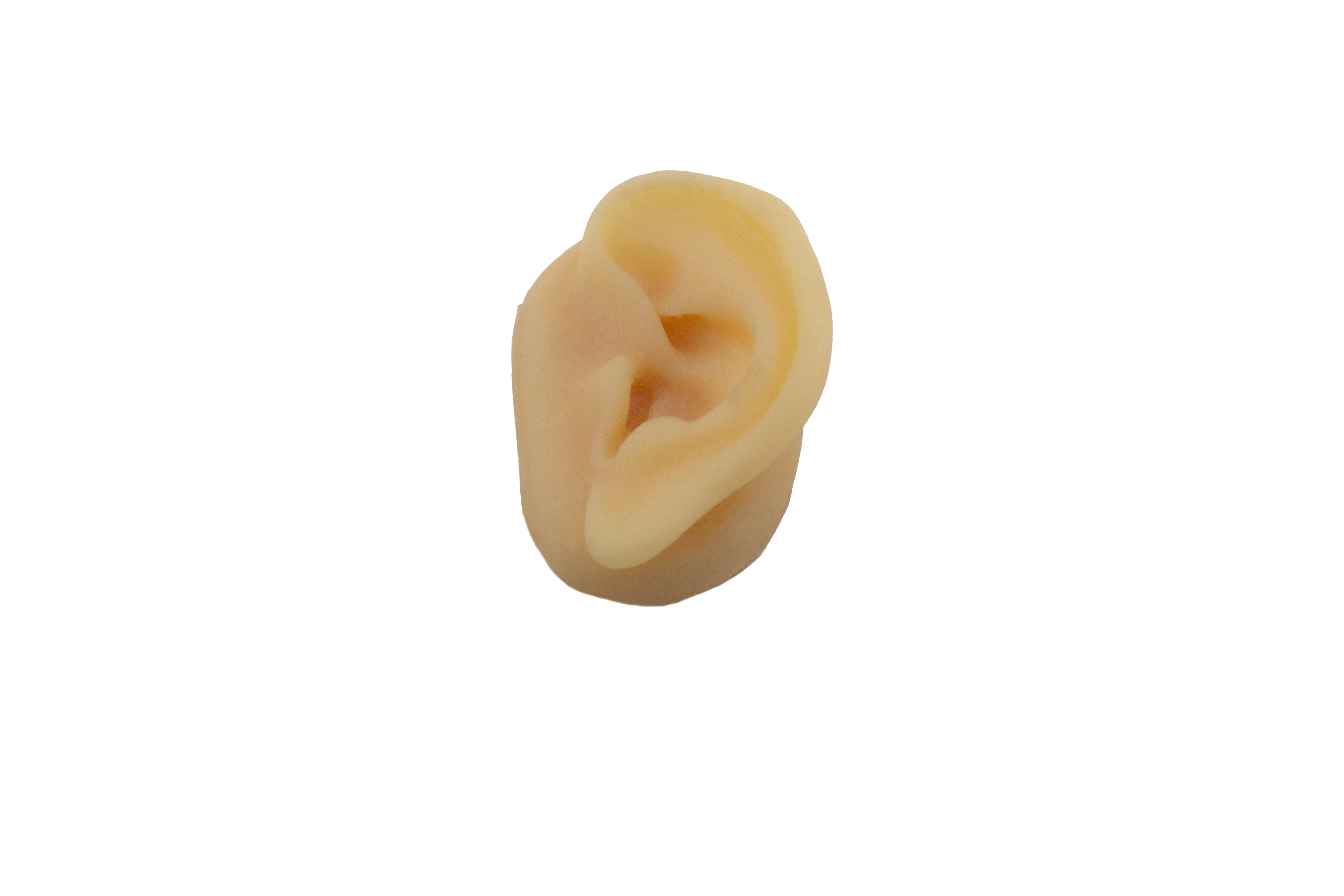 Gerçekçi Boyut Silikon Kulak 9 Cm Akupunktur Uygulama Eğitim Modeli Gerçekçi Boyut Silikon Kulak 9 Cm Akupunktur Uygulama Eğitim Modeli